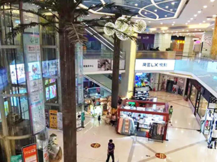 信和商业 × 商雀 | 数据驱动增长，打造智慧商业运营新模式