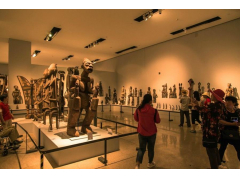 博物展馆怎么实现实时客流统计分析？